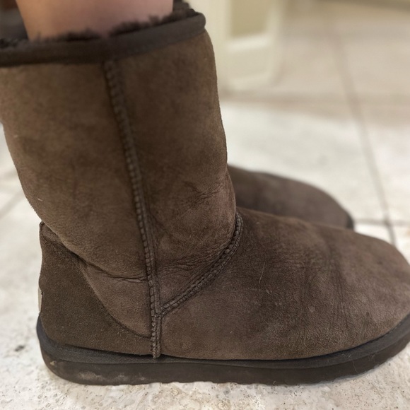 Women’s Short Chocolate Uggs Size 9 - Picture 4 of 5